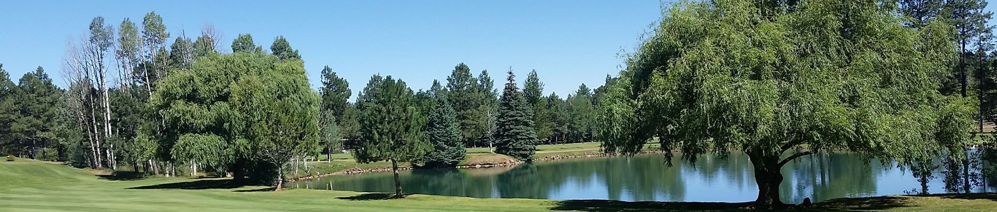 Image of golf ball on tee on grass.