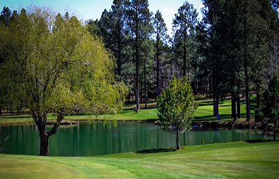 HOME - Pinetop Lakes Golf and Country Club